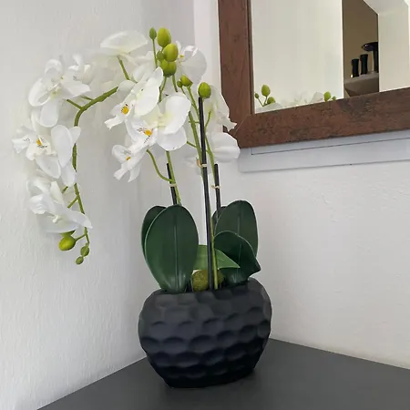 Lägenhet Sorinas Home - Comfortable Apartment Near Graz - Free Parking