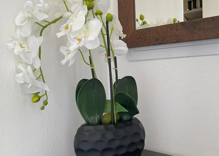 Apartment Sorinas - Comfortable Near Graz - Free Parking